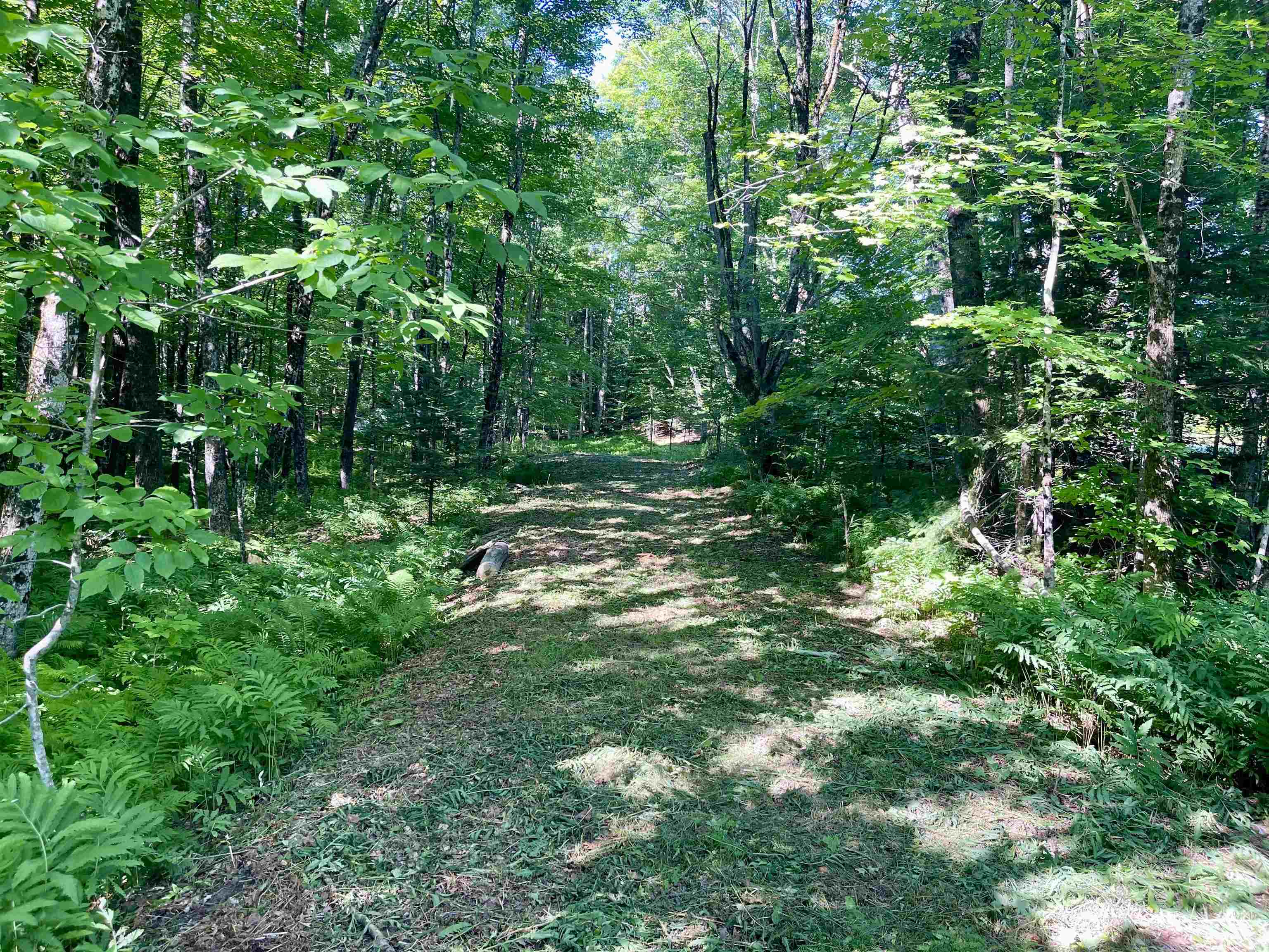 0 Old Farm Road West Burke, VT 05871 - Photo 24 of 25