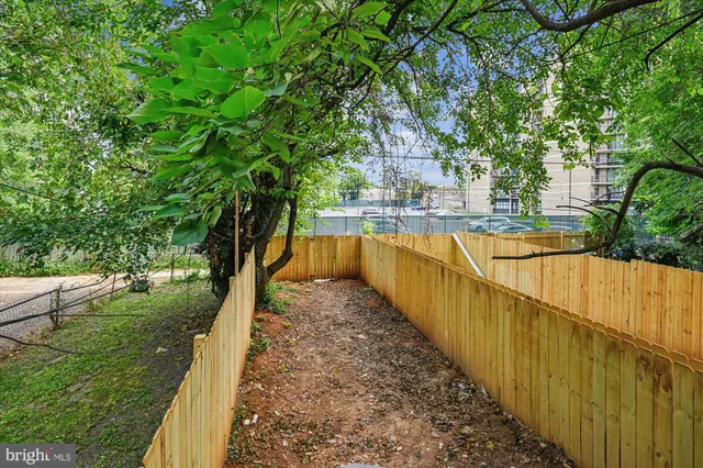 a view of backyard with large trees and wooden fence