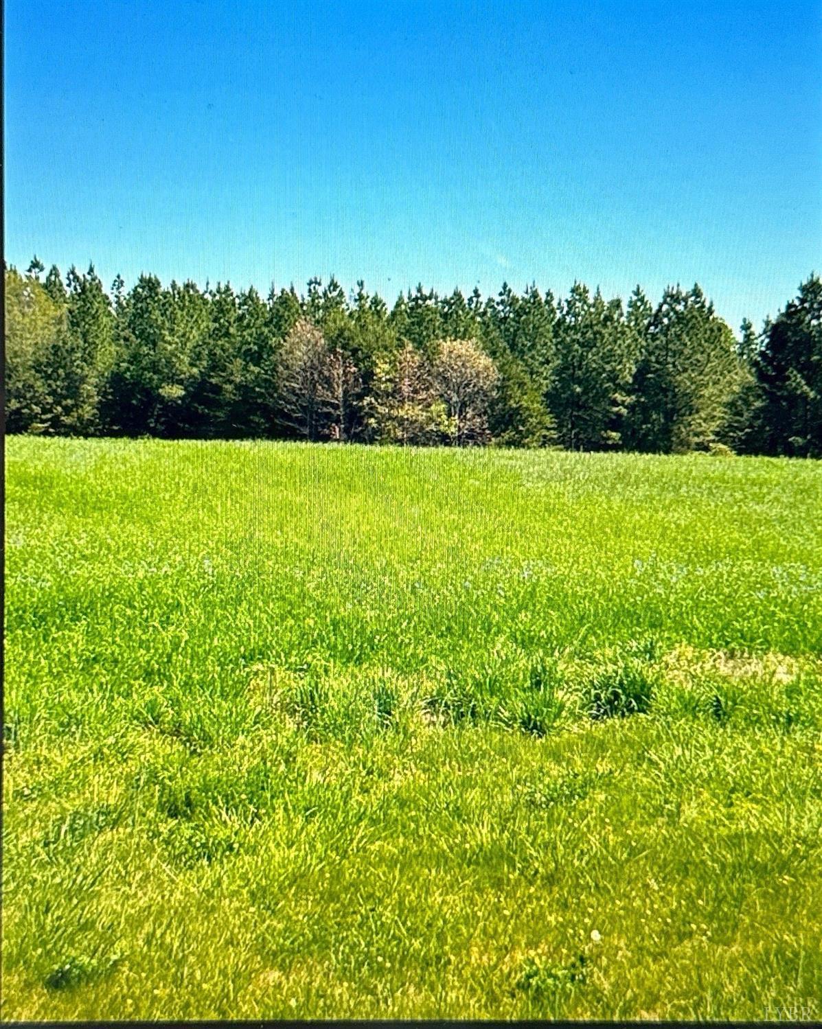 6657 Deer View Road Gretna, VA 24557 - Photo 2 of 5 Gallery Image 2