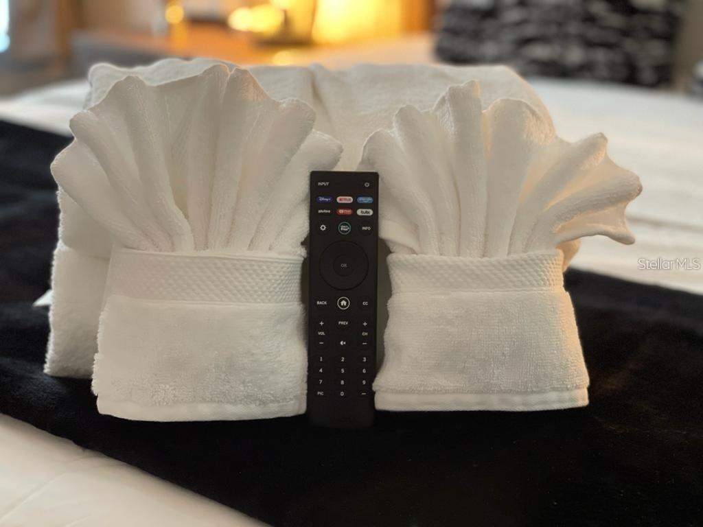 2714 Rio Grande Trail, Unit 2714 Kissimmee, FL 34741 - Photo 20 of 29