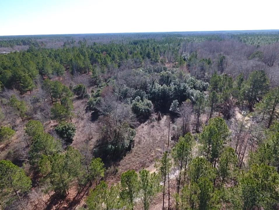 0 McLaurin Road Wedgefield, SC 29168 - Photo 15 of 15 Gallery Image 15