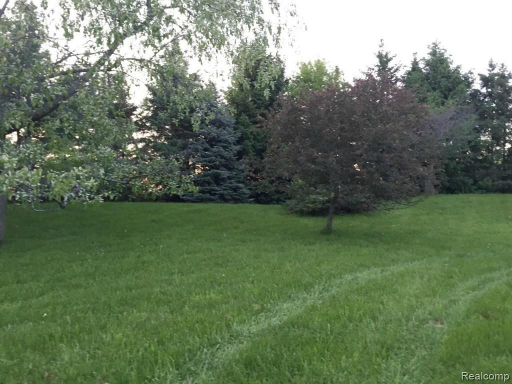 69188 Slating Lane Romeo, MI 48065 - Photo 4 of 18 #4 property.jpg