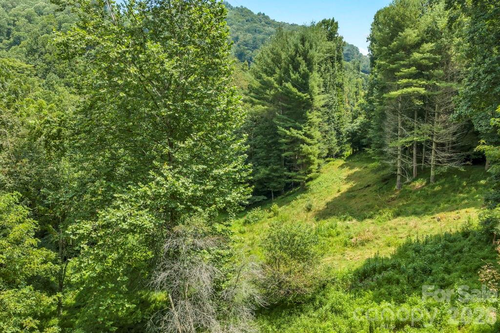 Tbd Bethel Road Sugar Grove, NC 28679 - Photo 9 of 19 Gallery Image 9