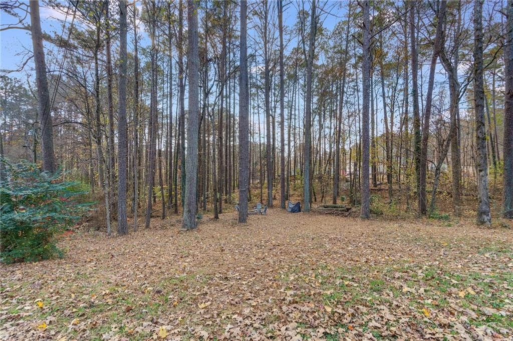384 Springbrooke Trail Dallas, GA 30157 - Photo 28 of 31 a row of trees with lots of trees