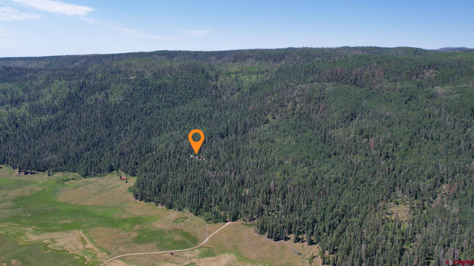 504 Weminuche Road Pagosa Springs, CO 81147 - Photo 11 of 44 a view of a trees with a dry yard