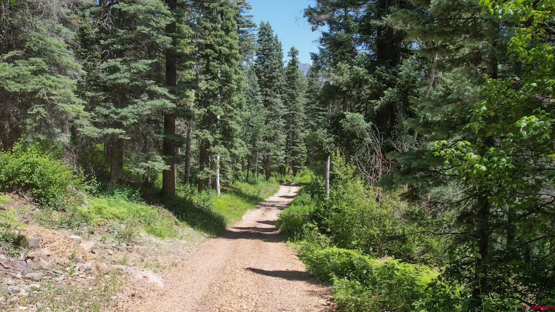 504 Weminuche Road Pagosa Springs, CO 81147 - Photo 12 of 44