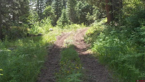 $1,999,000 | 504 Weminuche Road, Pagosa Springs, CO 81147