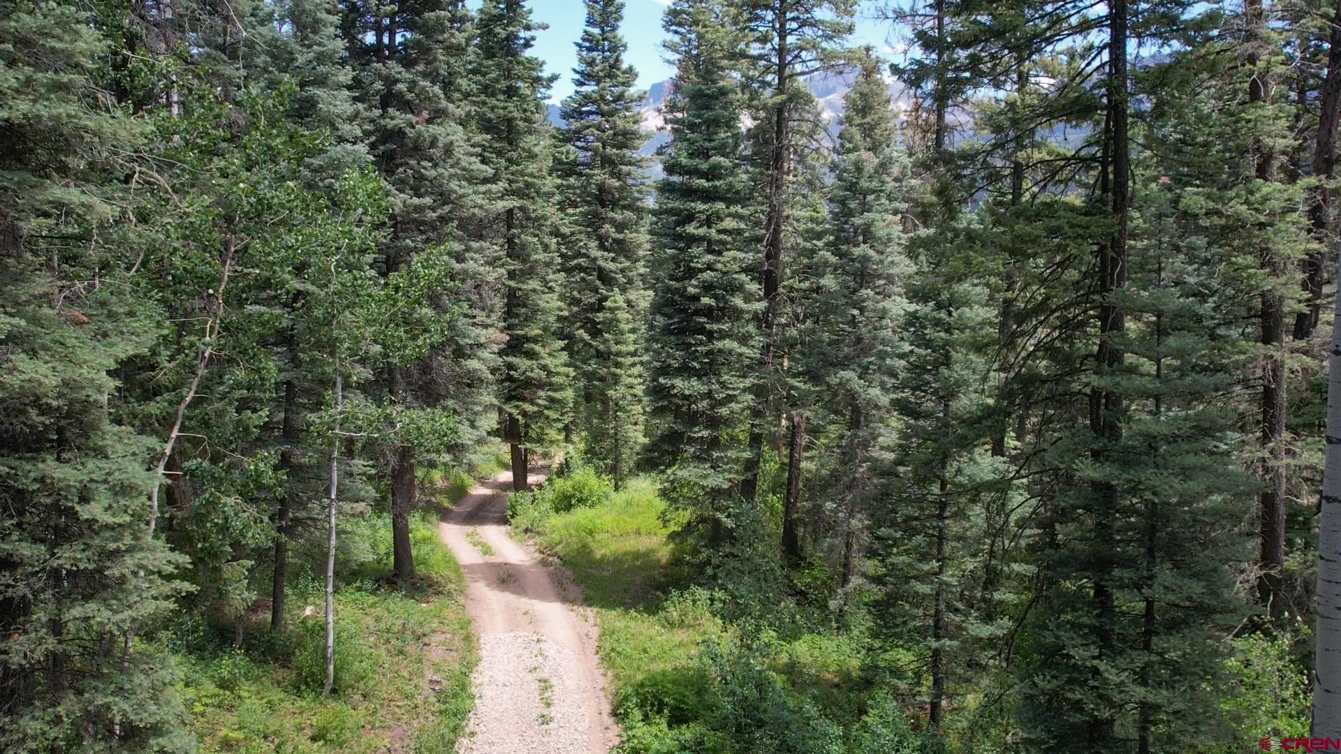 504 Weminuche Road Pagosa Springs, CO 81147 - Photo 15 of 44 a view of a forest with a trees