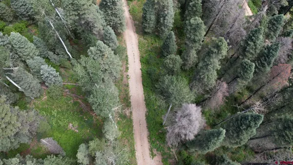 $1,999,000 | 504 Weminuche Road, Pagosa Springs, CO 81147