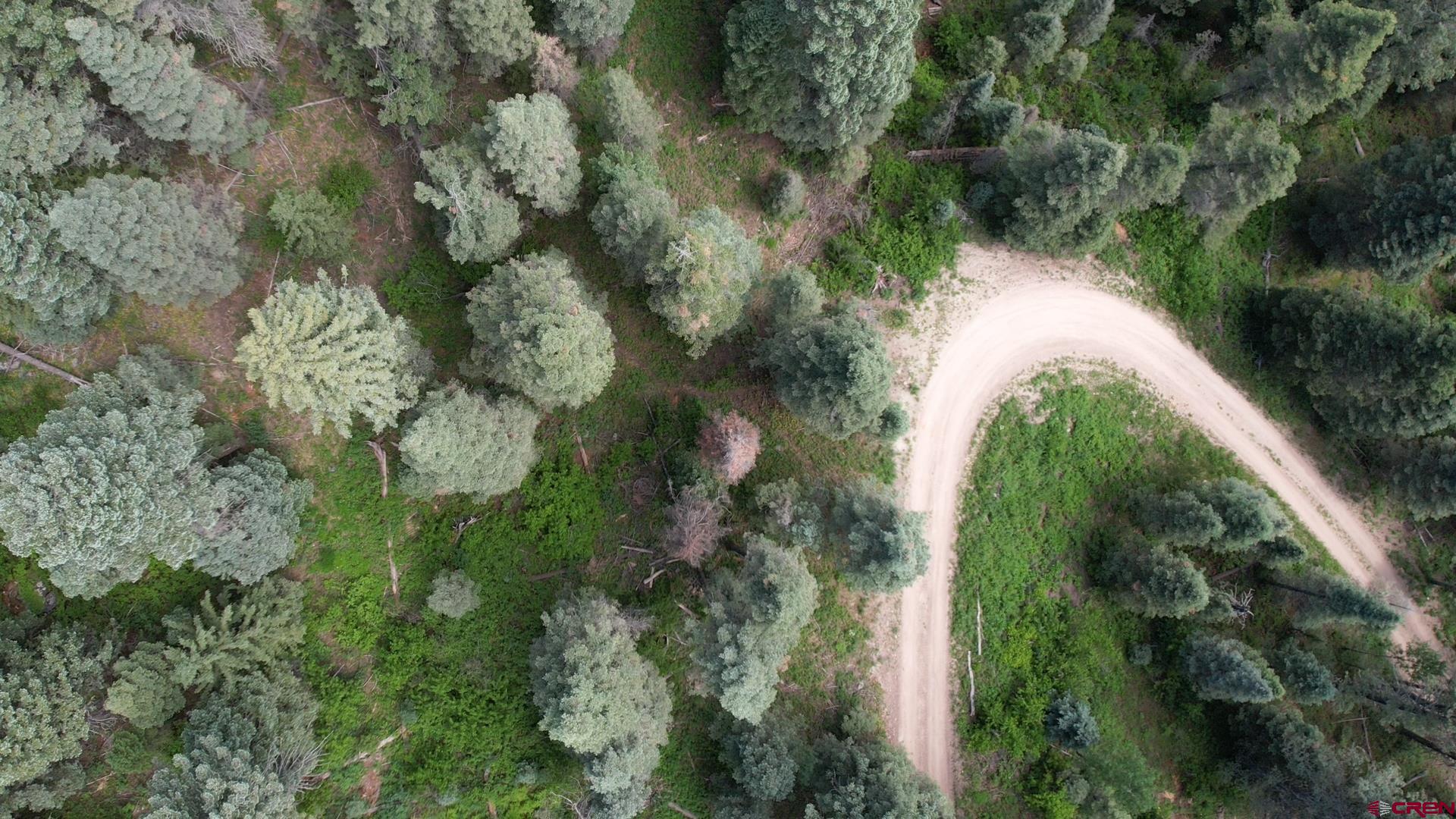 504 Weminuche Road Pagosa Springs, CO 81147 - Photo 44 of 44 an aerial view of a forest with houses