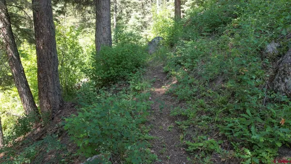 $1,999,000 | 504 Weminuche Road, Pagosa Springs, CO 81147