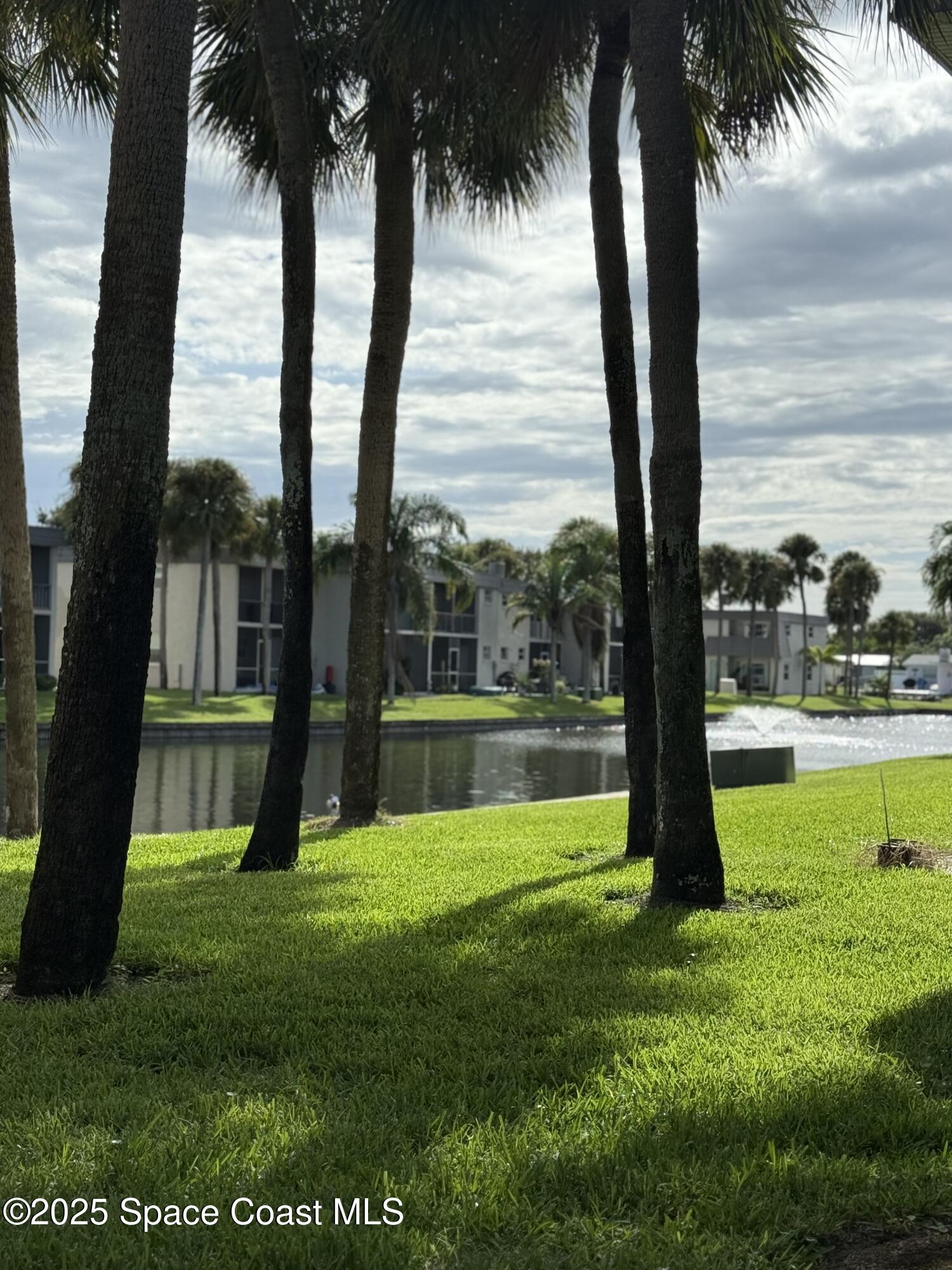 417 Ibis Lane, Unit 96 Satellite Beach, FL 32937 - Photo 12 of 29 a view of a garden with a tree
