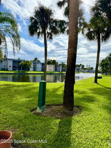a view of a park with a tree