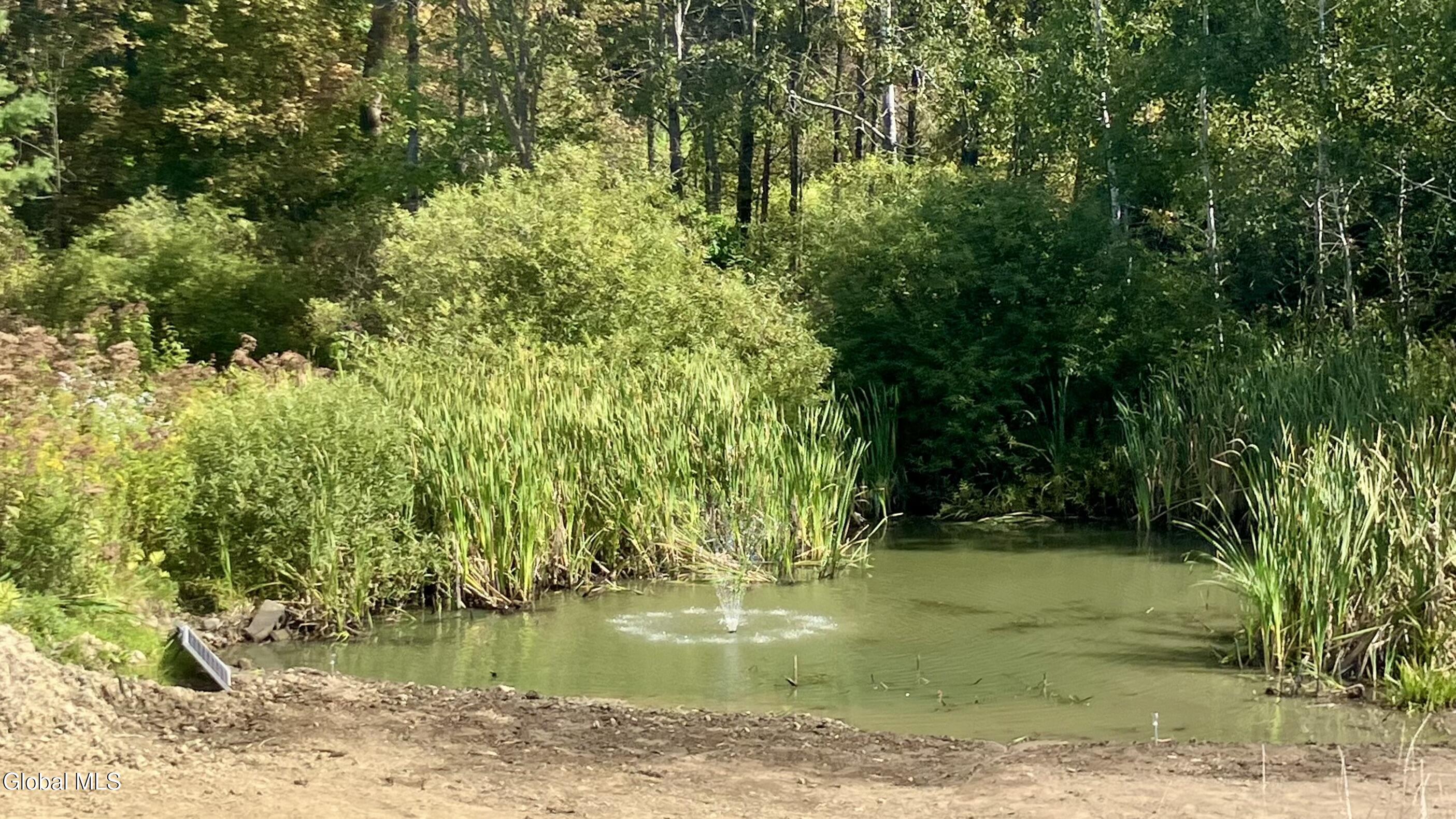 5736 State Route 22 Salem, NY 12865 - Photo 20 of 36 IMG_8355