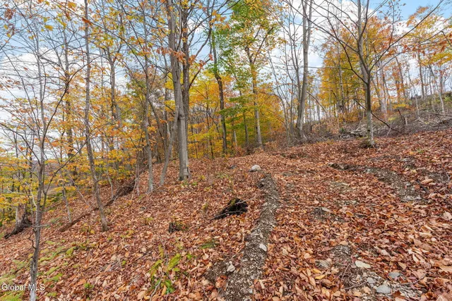 $225,000 | 5736 State Route 22, Salem, NY 12865