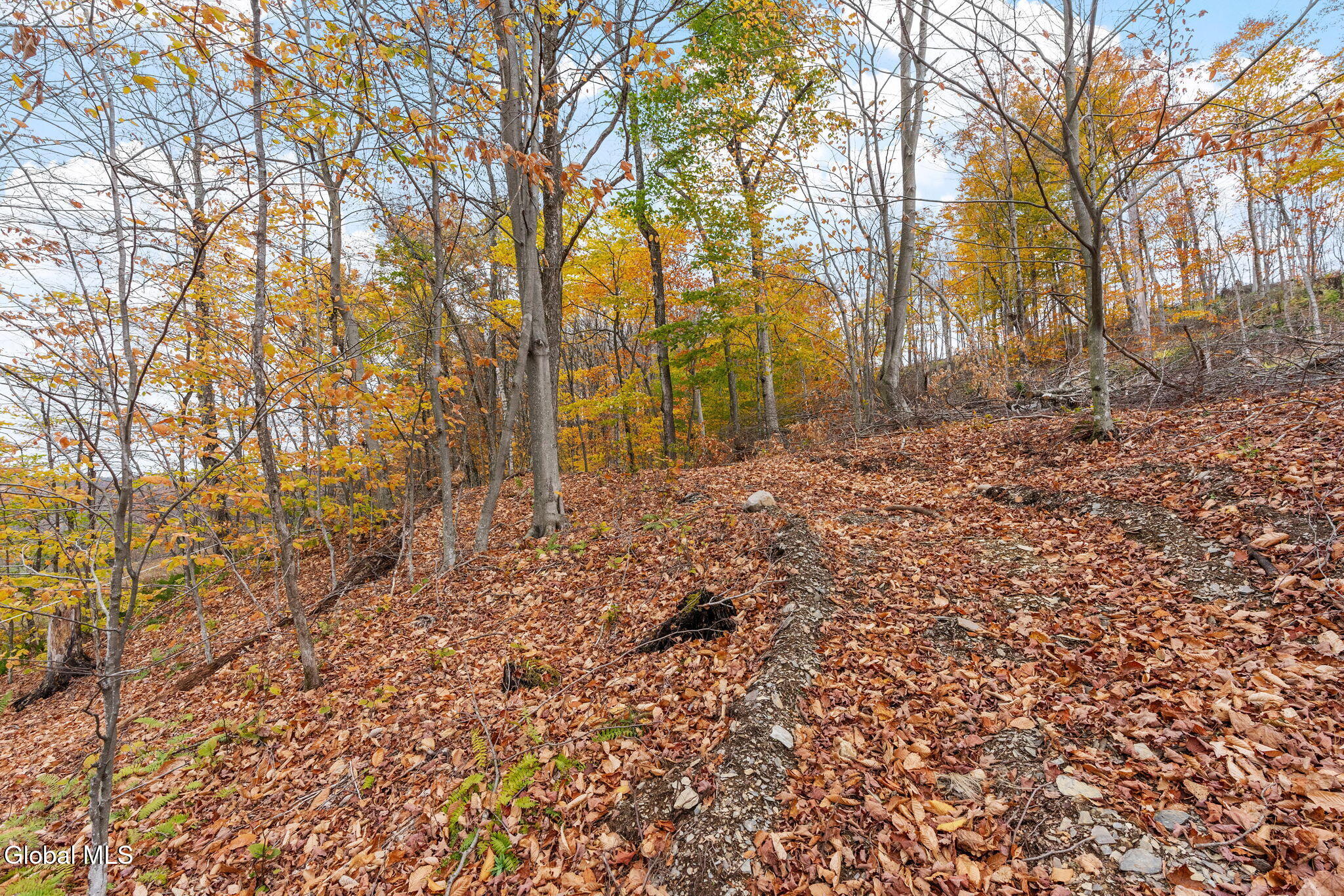 5736 State Route 22 Salem, NY 12865 - Photo 33 of 36 14-web-or-mls-6018-ny-22