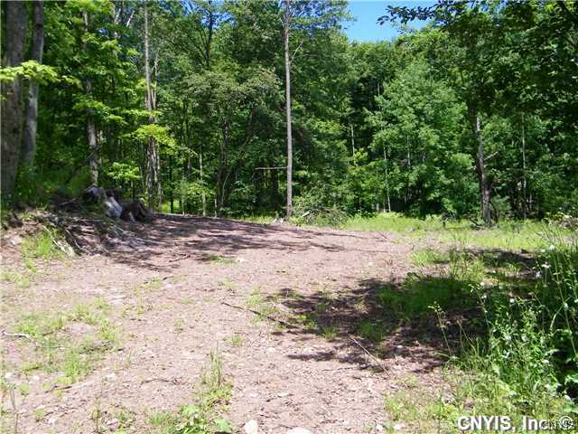 Lot #12 Hayes Road Redfield, NY 13437 - Photo 1 of 2 Gallery Image 1