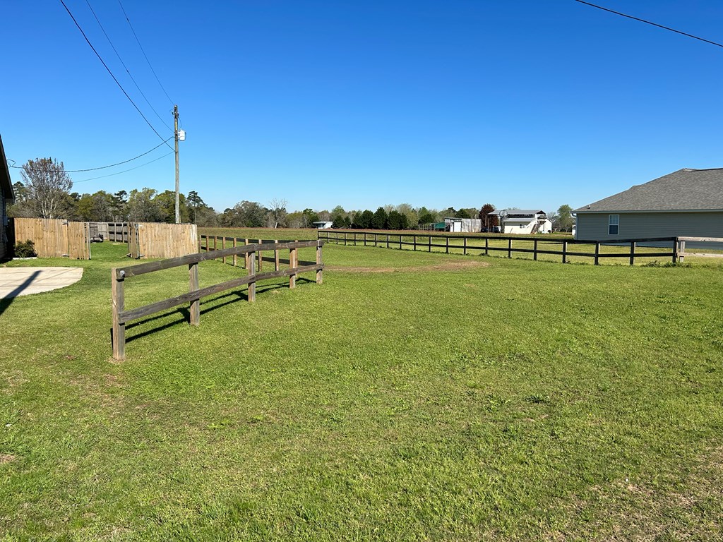 16.14-ac Lees Bridge Road Midland City, AL 36350 - Photo 2 of 28