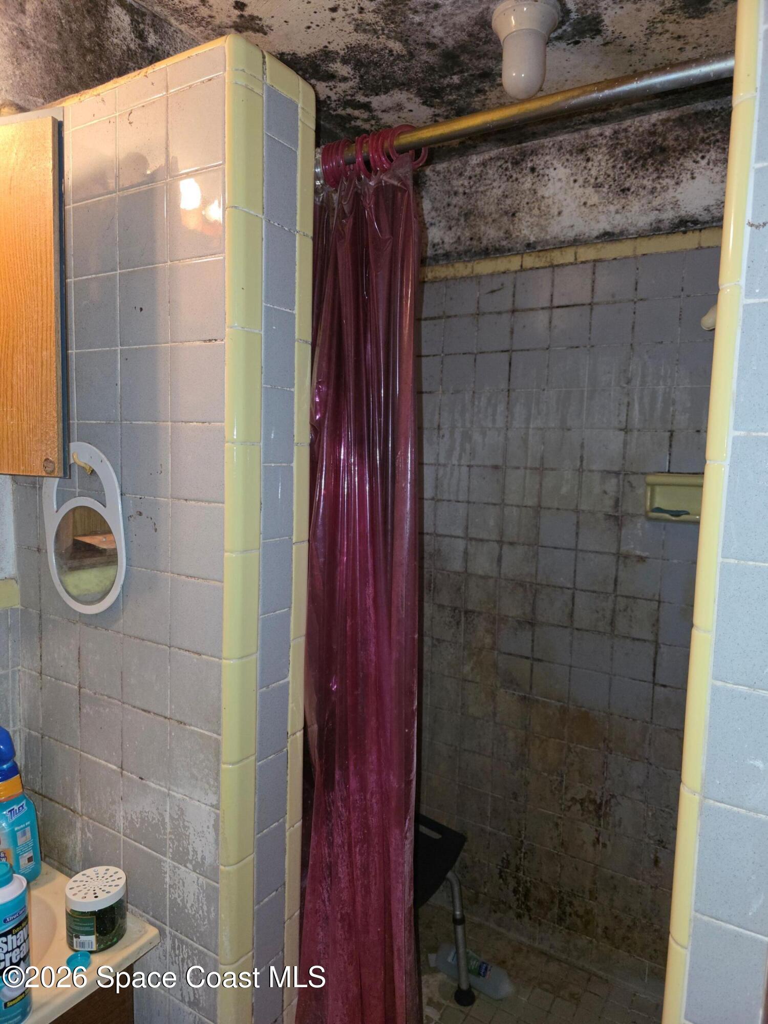 4365 Highway 1 Mims, FL 32754 - Photo 17 of 37 a bathroom with a shower