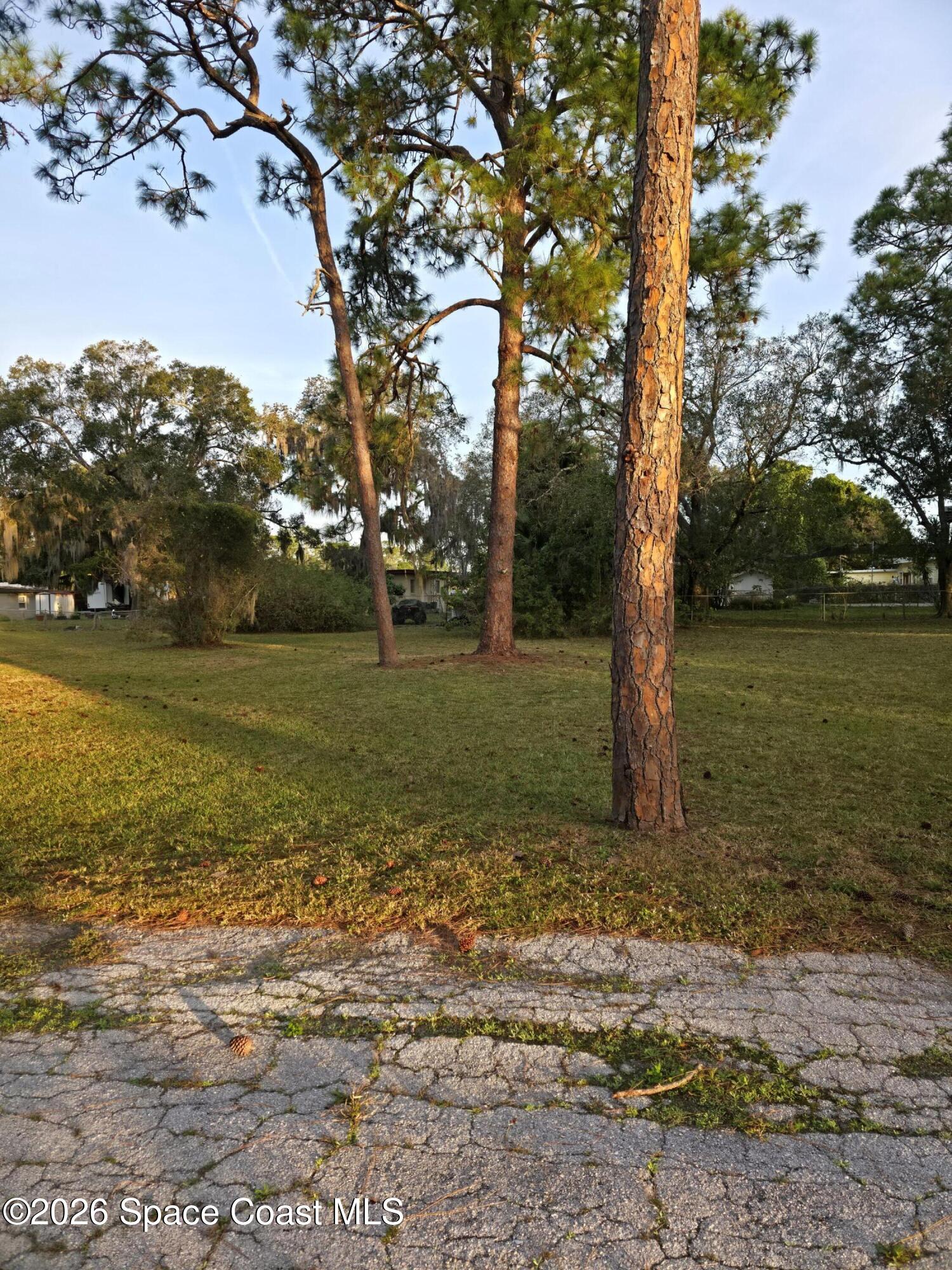 4365 Highway 1 Mims, FL 32754 - Photo 3 of 37 a view of a field with an trees