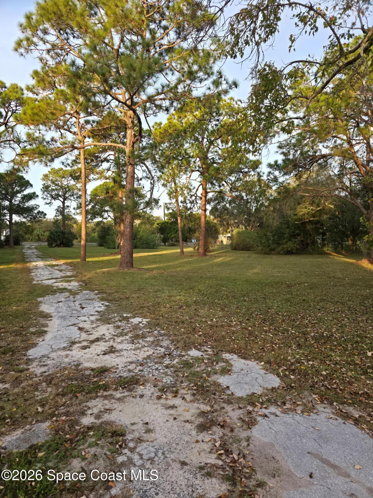 4365 Highway 1 Mims, FL 32754 - Photo 6 of 37 a view of a lake view with tree s
