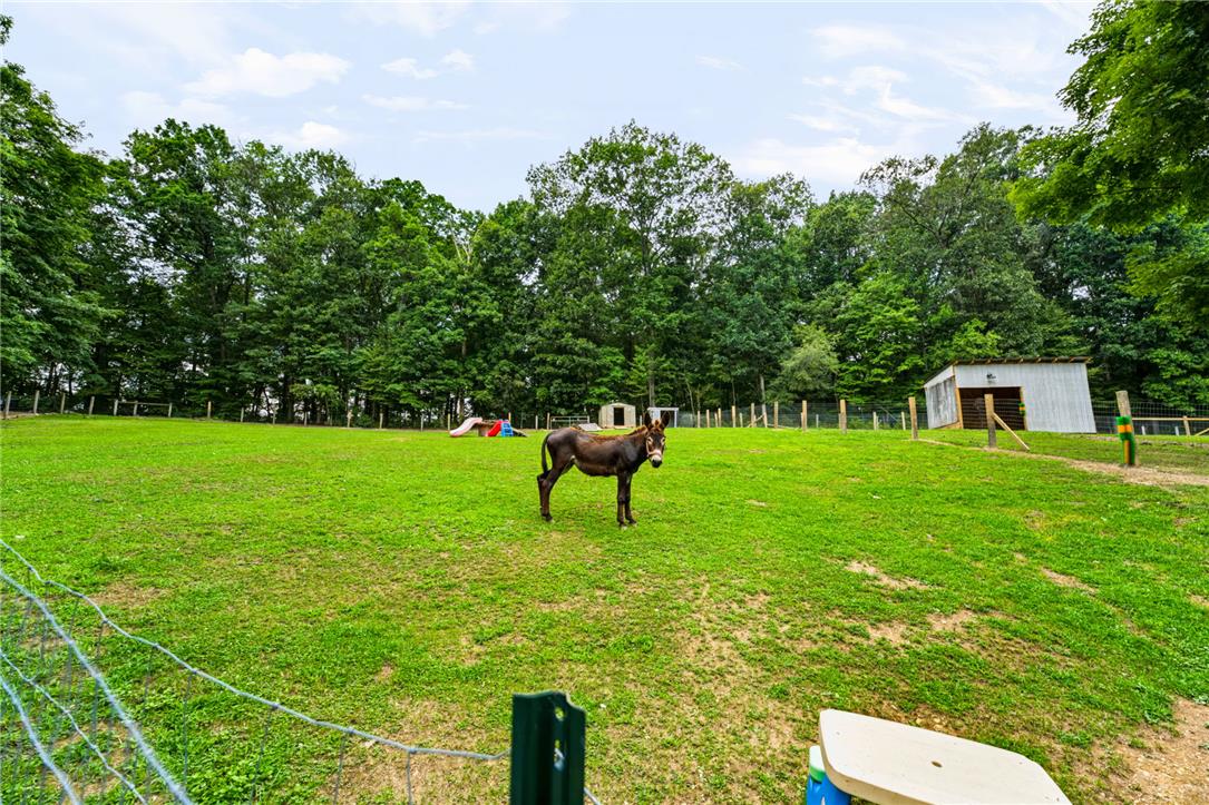 74 Turkey Road Kempton, PA 19529 - Photo 57 of 65 A spacious green pasture with a charming barn, ideal for animal enthusiasts.