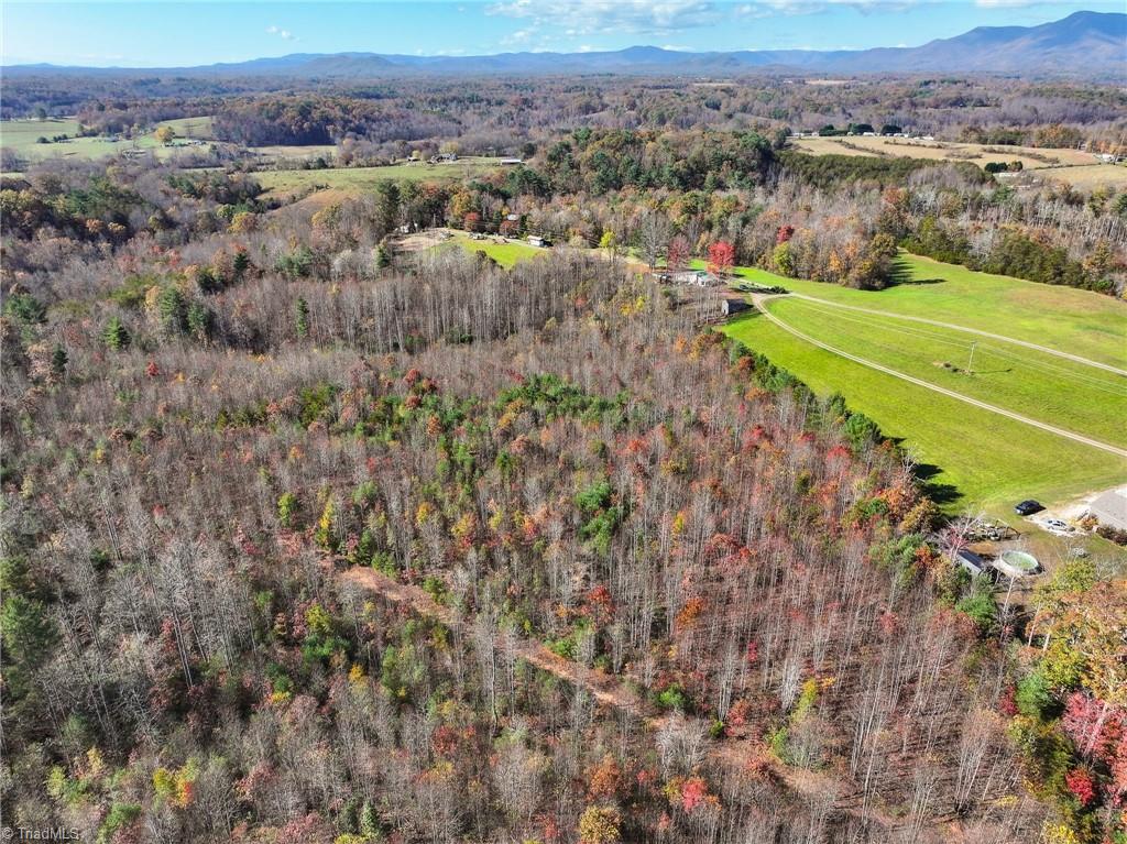 0 Sparger Road Mount Airy, NC 27030 - Photo 14 of 17 Gallery Image 14