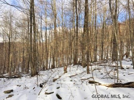 West Terry Clove Road Delancey, NY 13752 - Photo 1 of 13 Photo 1