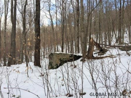 West Terry Clove Road Delancey, NY 13752 - Photo 3 of 13 Photo 3