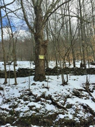 West Terry Clove Road Delancey, NY 13752 - Photo 6 of 13 Photo 6