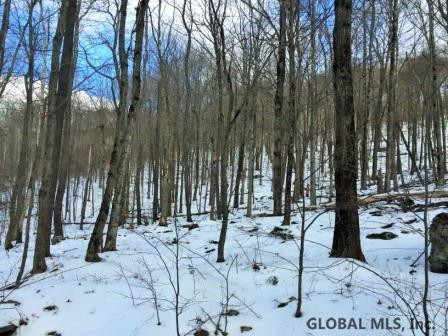 West Terry Clove Road Delancey, NY 13752 - Photo 8 of 13 Photo 8