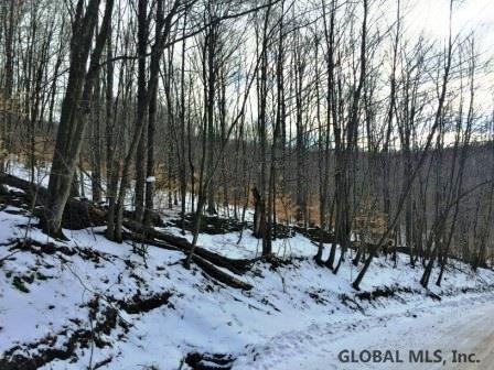 West Terry Clove Road Delancey, NY 13752 - Photo 9 of 13 Photo 10
