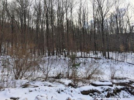 West Terry Clove Road Delancey, NY 13752 - Photo 10 of 13 Photo 11