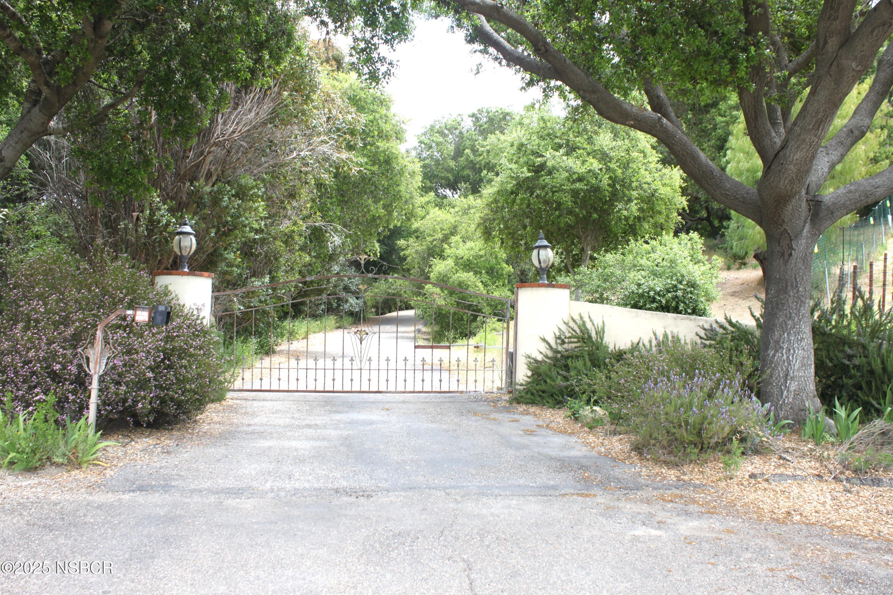a view of pathway along with trees