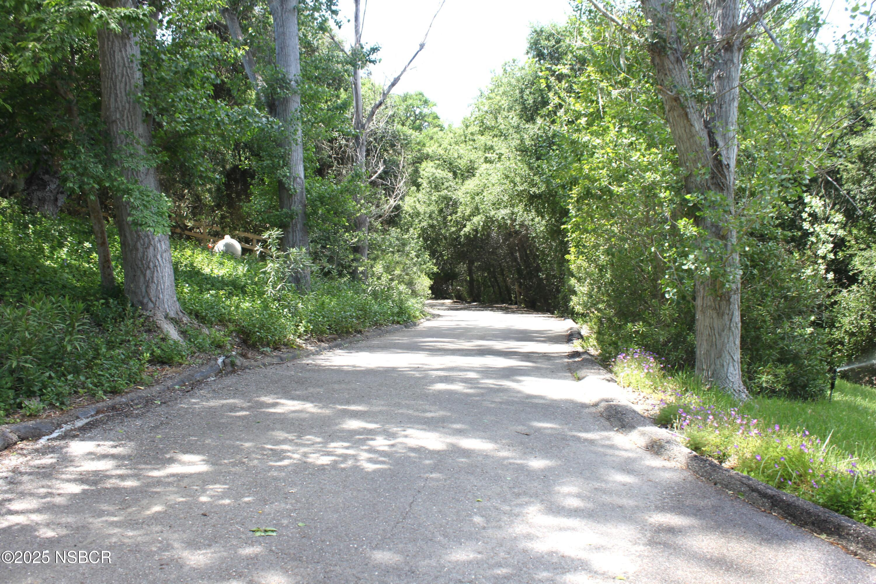 1448 Holsted Drive Solvang, CA 93463 - Photo 33 of 33 a view of a yard with plants and a trees