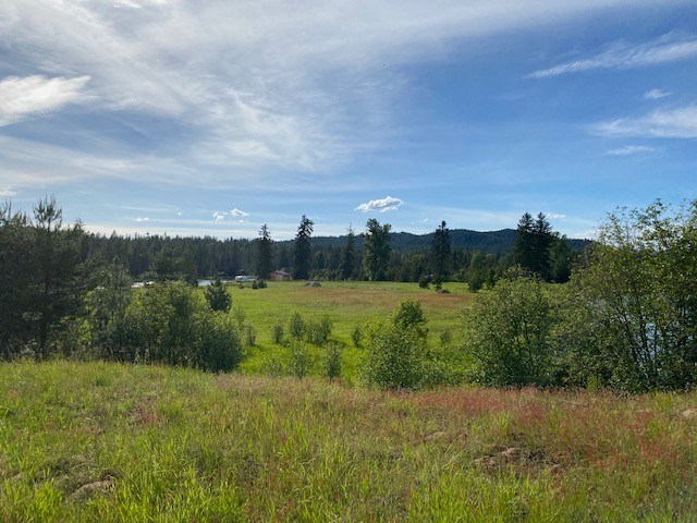 325 Mud Gulch Road Priest River, ID 83856 - Photo 3 of 16 Gallery Image 3