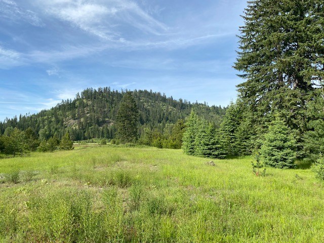 325 Mud Gulch Road Priest River, ID 83856 - Photo 8 of 16 Gallery Image 8
