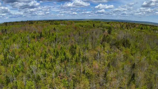 $145,000 | Lot 4 East Ridge Road, Cooper, ME 04657
