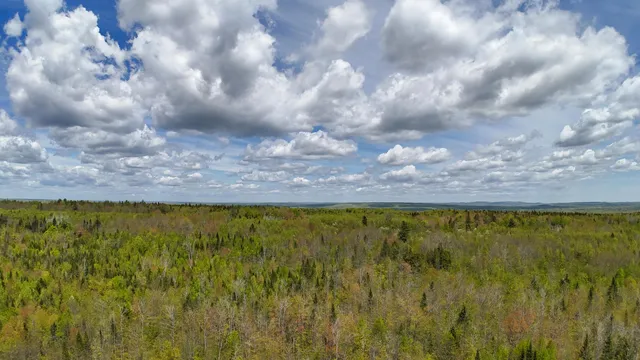 $145,000 | Lot 4 East Ridge Road, Cooper, ME 04657