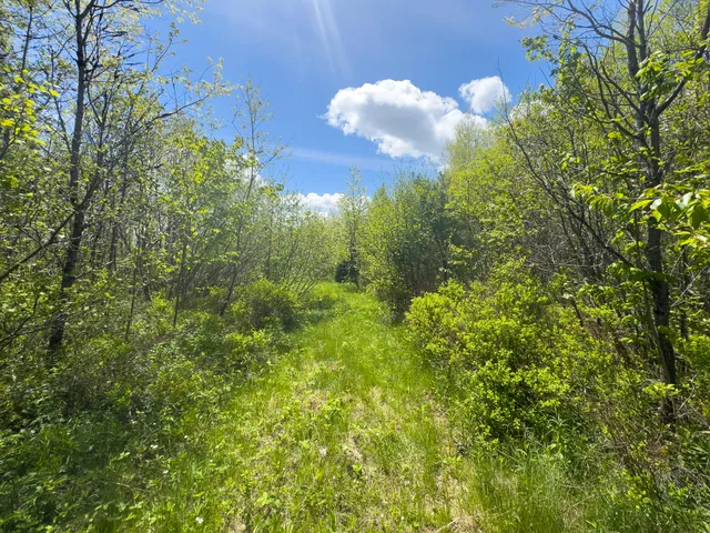 $145,000 | Lot 4 East Ridge Road, Cooper, ME 04657