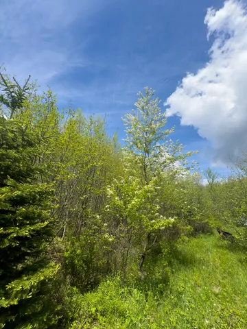 $145,000 | Lot 4 East Ridge Road, Cooper, ME 04657