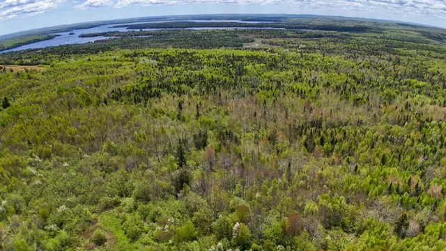 $145,000 | Lot 4 East Ridge Road, Cooper, ME 04657