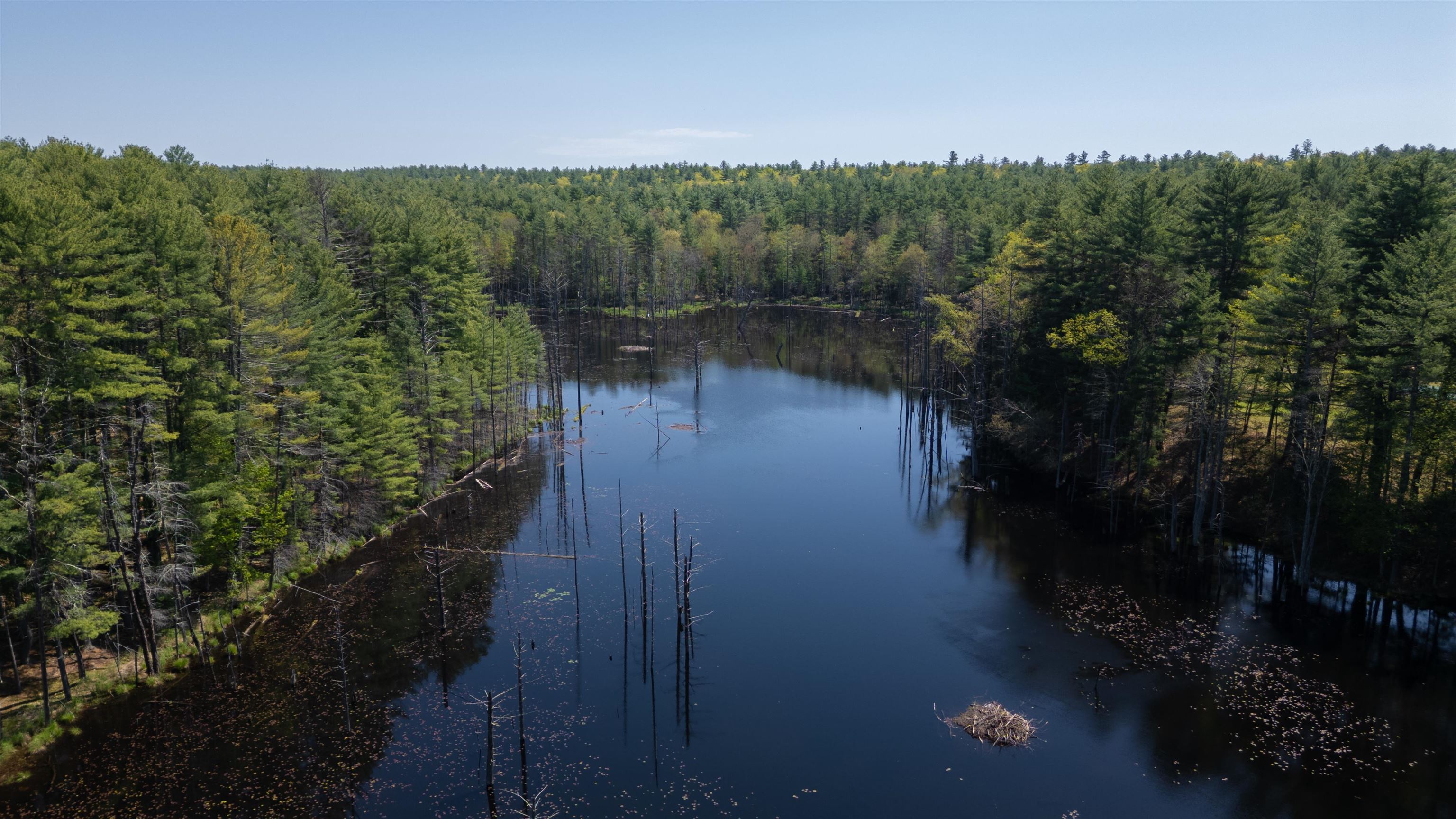 10 Sargent Road Brookline, NH 03033 - Photo 58 of 60