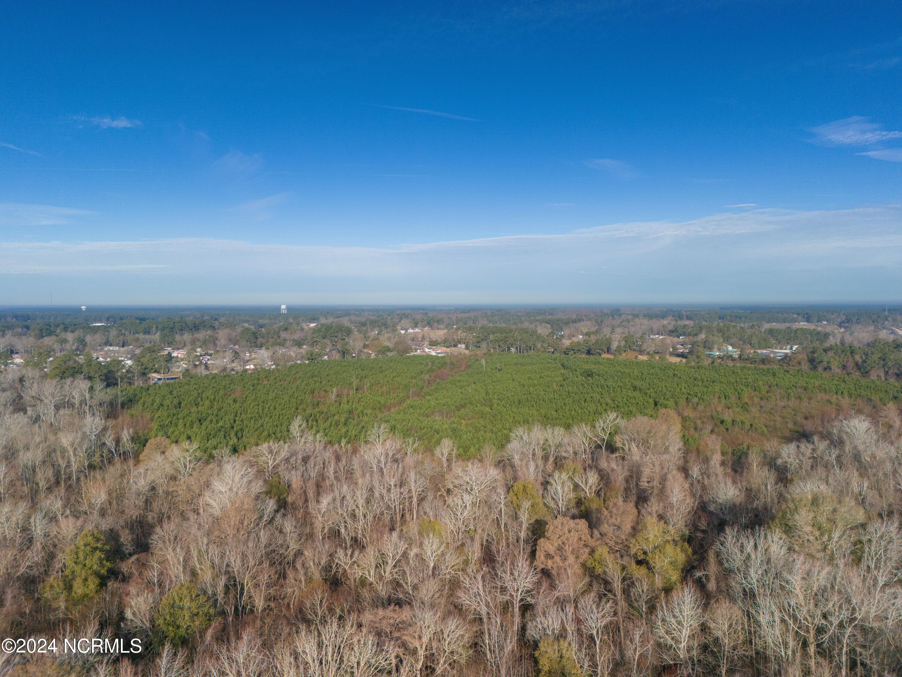 0 Thomas Humphrey Road Jacksonville, NC 28546 - Photo 4 of 11 Acreage