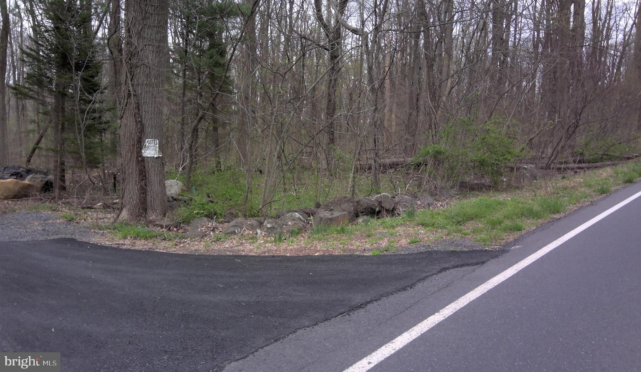 Lot #3 State Road Coopersburg, PA 18036 - Photo 3 of 3 Shared driveway access from State Road