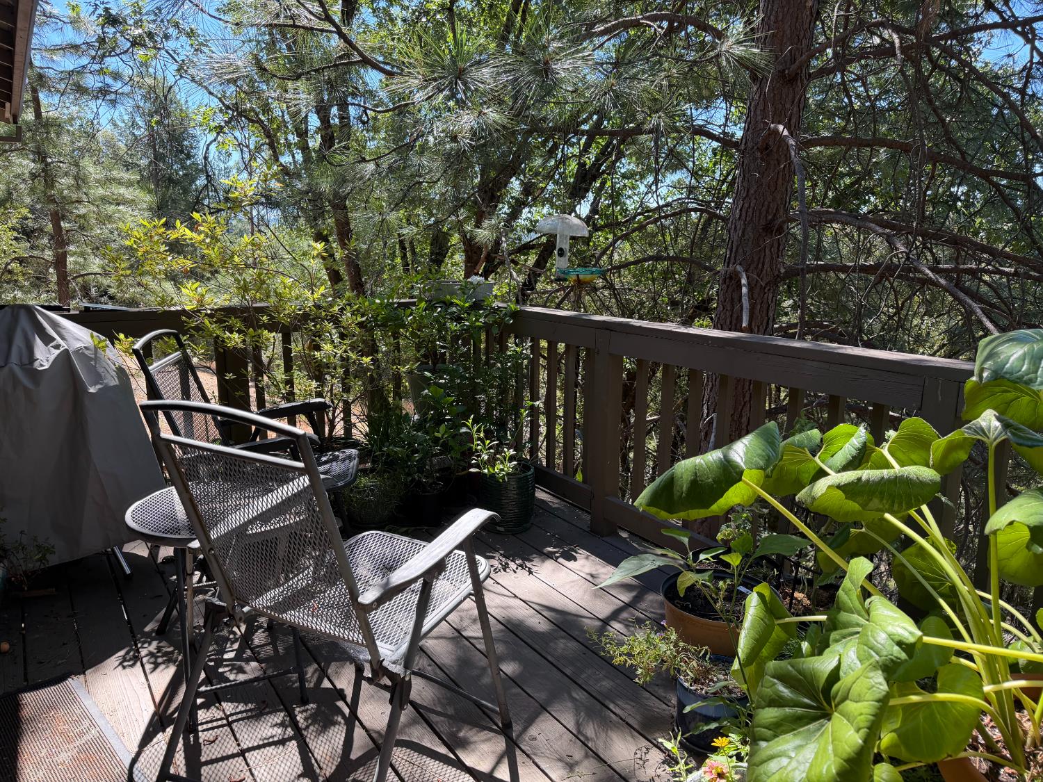 424 Catskill Drive Colfax, CA 95713 - Photo 13 of 25