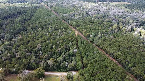 $371,925 | 49-acres Holliday Road, Folsom, LA 70437