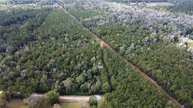49-acres Holliday Road Folsom, LA 70437 - Photo 1 of 6