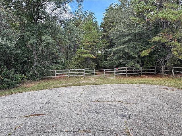 49-acres Holliday Road Folsom, LA 70437 - Photo 2 of 6