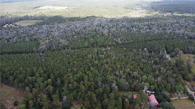 49-acres Holliday Road Folsom, LA 70437 - Photo 3 of 6